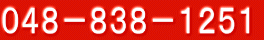 048-838-1251